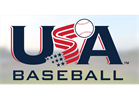 USA Bat Standard